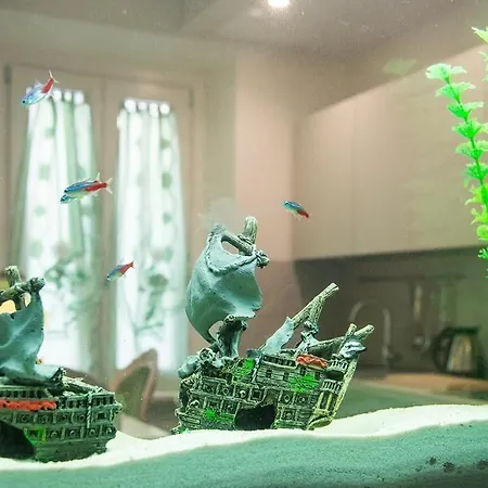 Il Giglio Verde Bed & Breakfast 3*