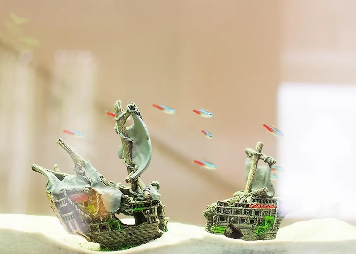 Il Giglio Verde Porto Sant'Elpidio